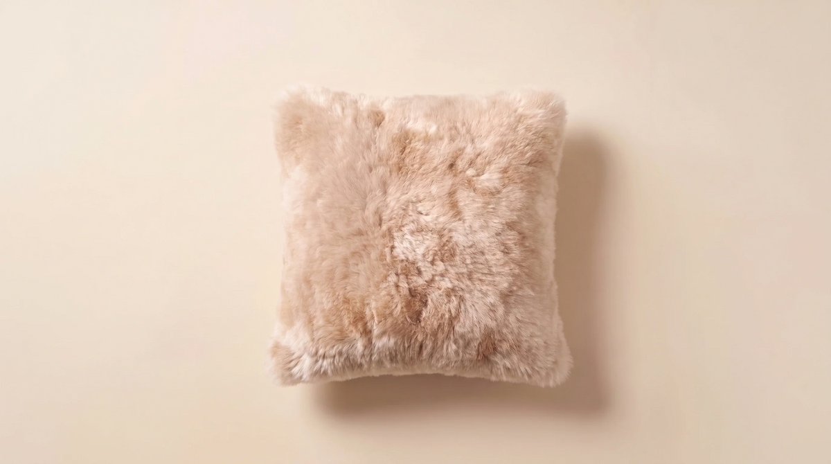 Pillows & Cushions