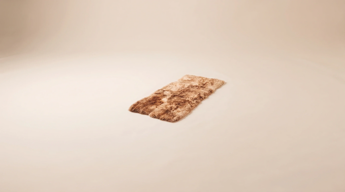 Carpets & Blankets
