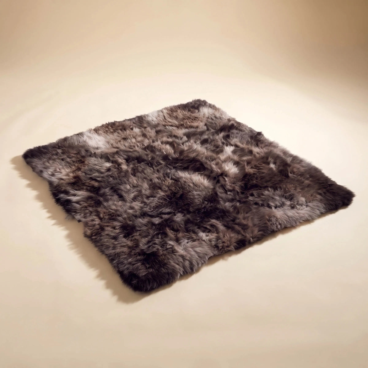 Carpet Charlotte