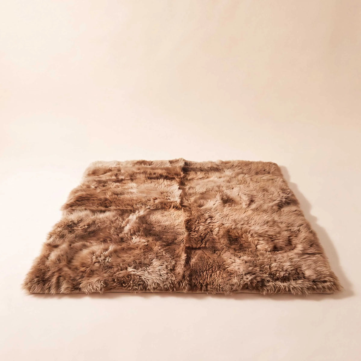 Carpet Charlotte