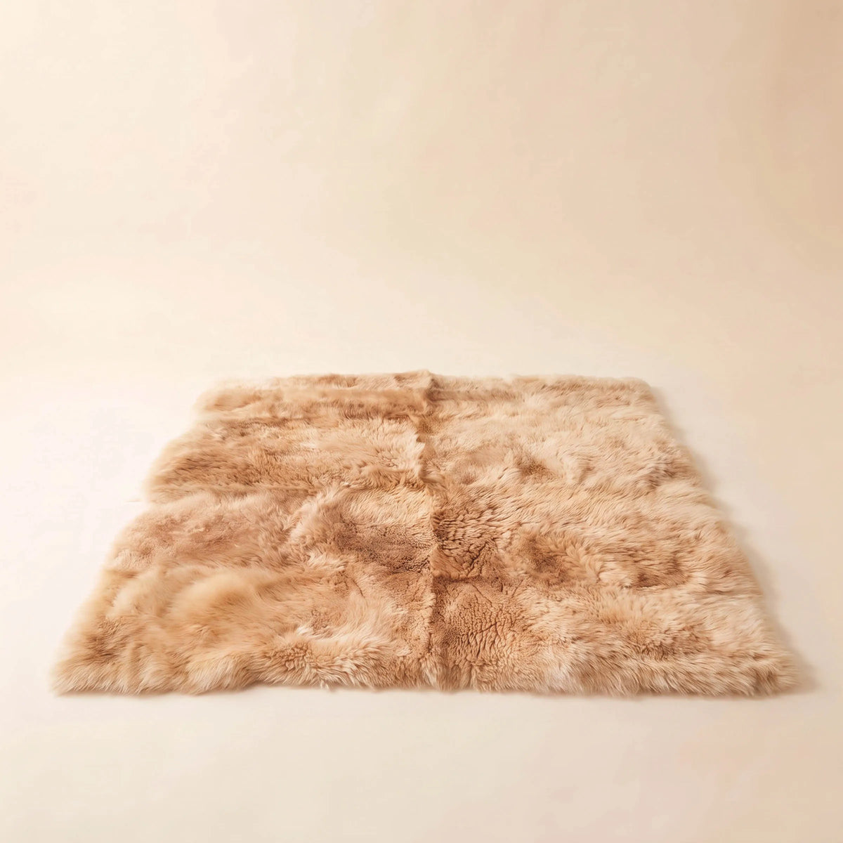 Carpet Charlotte